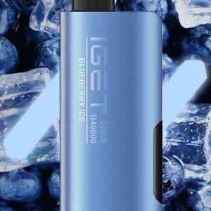 IGET SOUL B40000 Blueberry Ice – Vape Shop Indore