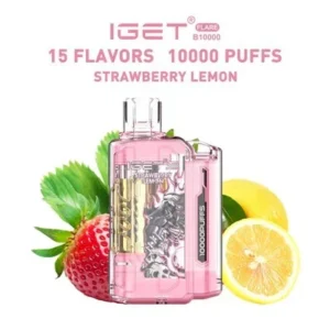 IGET FLARE B10000 Mountain Spring Mint – Vape Shop Indore