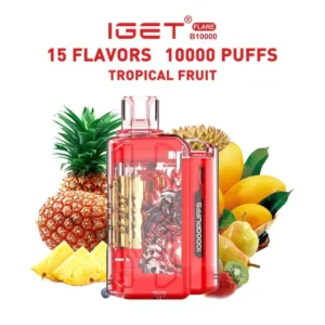 IGET FLARE B10000 Tropical Fruit – Vape Shop Indore