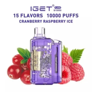 IGET FLARE B10000 Cranberry Raspberry Ice – Vape Shop Indore